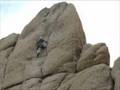 Rob - Joshua Tree - Temple of the Dog - Say Hello to Heaven