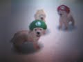 NIntendogs dancing