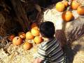 videos de bona: mommy & me