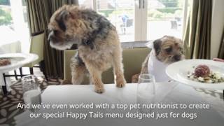 Mercure Hotels Happy Tails