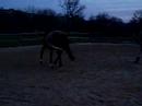 orfee au boulot orfee au boulot