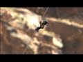 【EVOLTA World Challenge: Grand Canyon】#7 TV Commercial 60seconds version