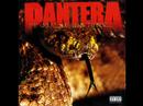 The Great Southern Trendkill - Pantera