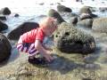 videos de RockyPoint Tide Pools