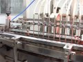 Skystars (NASDAQ:SKBI) Jingzhou Hubei Facility