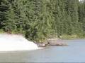 2008 Whitecourt riverboat race Max Fuel Challenge