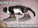 Funny Pictures