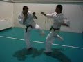 Ashihara Karate Romania Dojo 111 kata