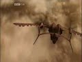 asian invasion   episode 1 part 6