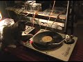 My Cat can Scratch!  DJ Monkey!