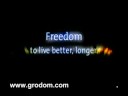 Online internet and work from home based business in Lexington Online internet and work from home based business in Lexington