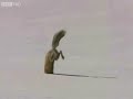 Aktion: Sparschweinrettung! - Jetzt wird ein bundesweiter Rettungsschrim gespannt!  http://www.youtube.com/watch?v=oqALSCWd27I