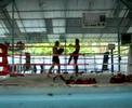 Namsaknoi Yuttaktakam Kicking Pads
