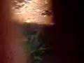 videos de tonteras