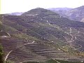 Douro Profundo