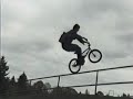 Animal bmx