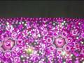 Click here to watch this video jameela jilbaabs