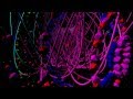 Reaktion - Music by Carbon Based Lifeforms, Visual Music by VJ Chaotic