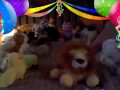 Webkinz Pack Blooper Reel 1