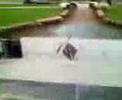 Chair down RHS steps