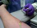 Blood Work