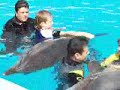 delphin therapy austic child thomas and melanie delphin therapy austic child thomas and melanie