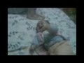 elif ve uçan panda :)