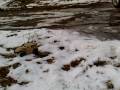 videos de Modellismo fuoristrada neve. Fabio & Nik detti Jhooon ! ! !