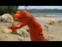 SOBE lizard