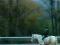 ich auf dr Doolittle oÔ ohne sattel xDxD 2