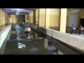 De watertest van KTM De watertest van KTM