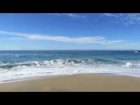 Video for Pistachio Beach