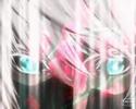 sif el ghorba y su cancion que no se como se escribe