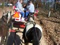 Wagon Team on a Saturday afternoon ride