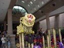 Lion Dance - KL - pt.3