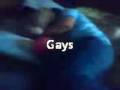 videos de porti gay