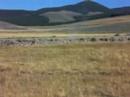 Tannerite explosion