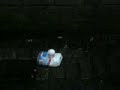 Nitraat knal van isow&tony.mp4