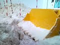 LR632 alokocat diggin 2 002