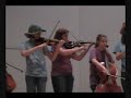Perry Meridian Falcon Fiddlers