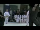 Team Havok Judo Team at UT Judo Tourney Nov08