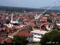 FORINA