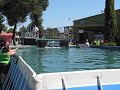 Splash dogs Stockton