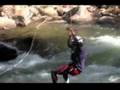 videos de C5 Final 480by360.flv