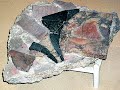 Outstanding polychromatic effects and geometric patterns seen on Roman pavements and Mosaics.