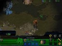 StarCraft NaigelZZZ vs B Zerg