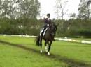 Amanda & Haveway in Herkenbosch