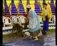 Tenchis en el circo