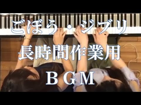 動画