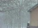 White Christmas! White Christmas!